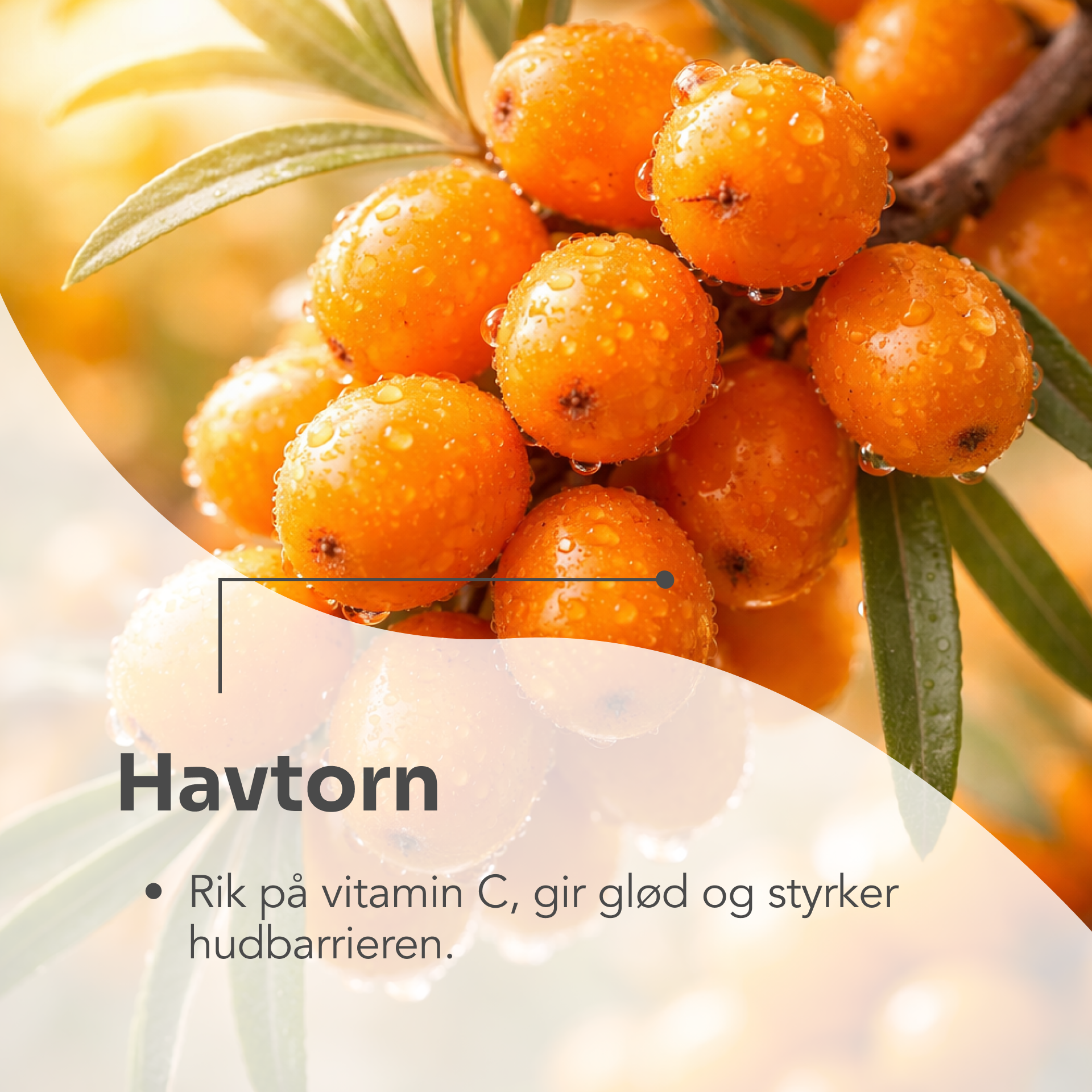 SUPERFOOD multipurpose vitamin face gel