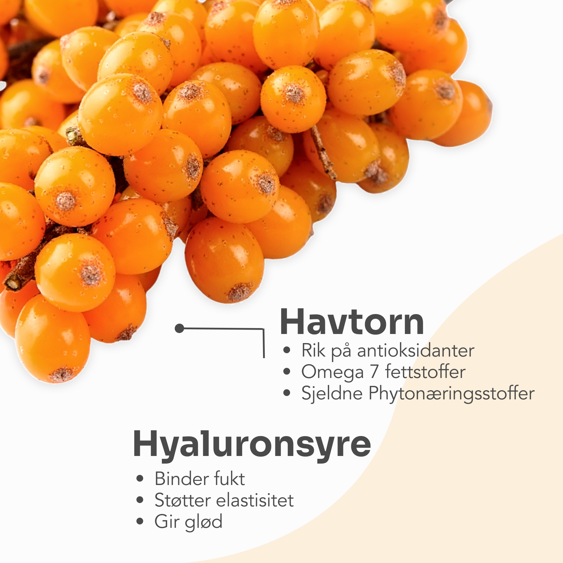 Dr.Stine Collagen with Sea Buckthorn