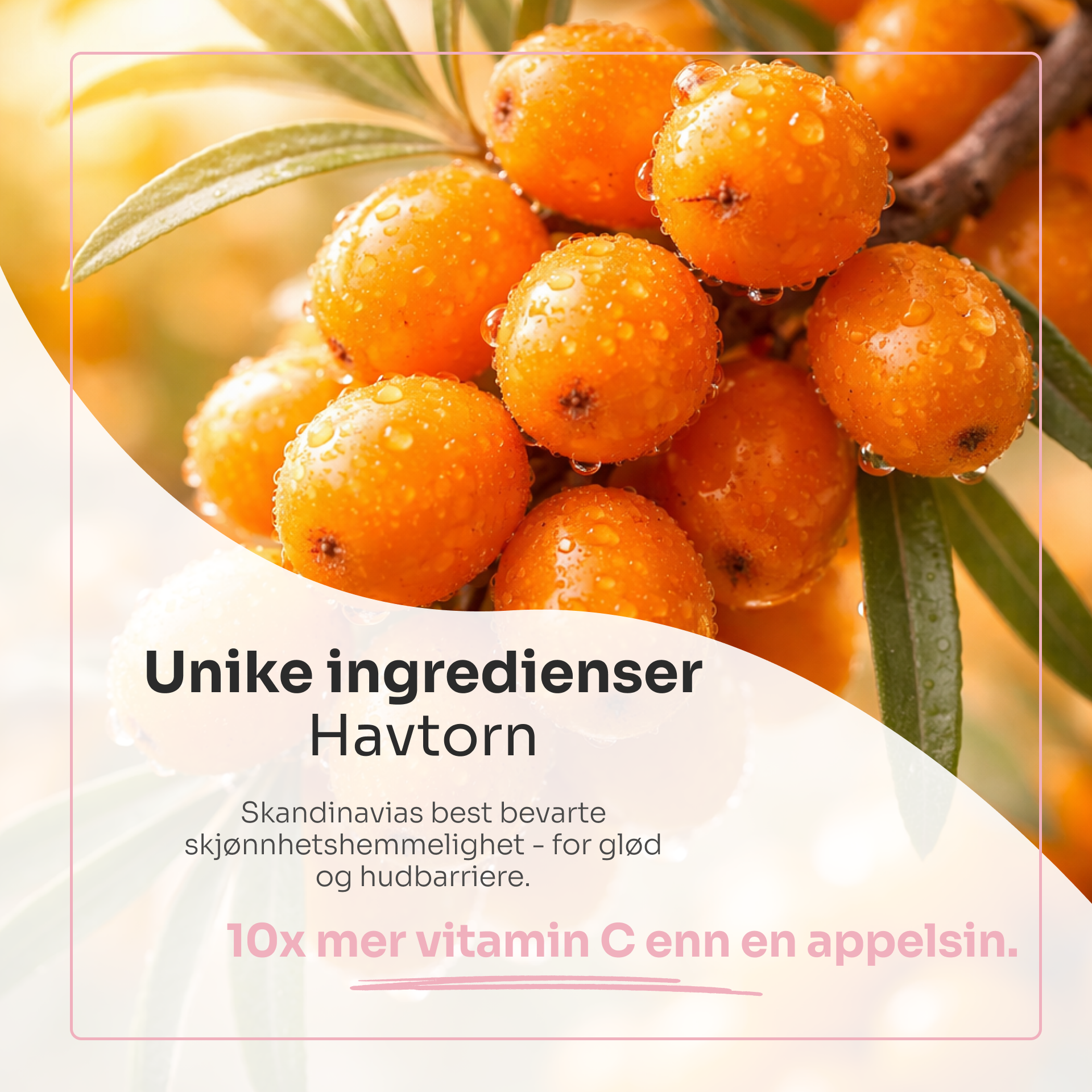 SUPERFOOD multipurpose vitamin face gel